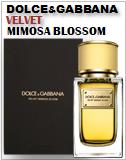 Dolce&Gabbana Velvet Mimosa Bloom
