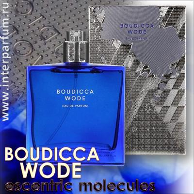 Boudicca Wode escentric molecules