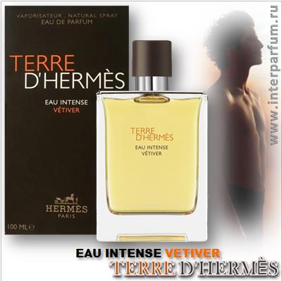 Terre d'Hermes Eau Intense Vetiver