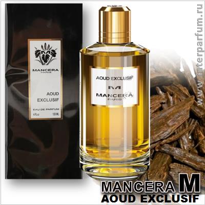 Mancera Aoud Exclusif