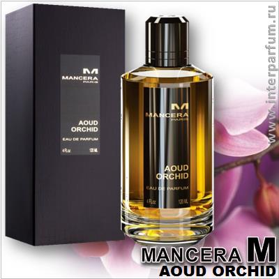 Mancera Aoud Orchid