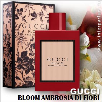 Gucci Bloom Ambrosia di Fiori 