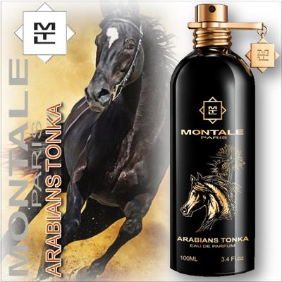 Arabians Tonka Montale