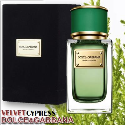 Dolce&Gabbana Velvet Cypress