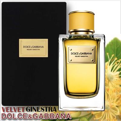 Dolce&Gabbana Velvet Ginestra 