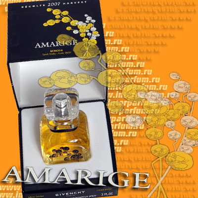 Amarige Mimosa
