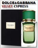 Dolce&Gabbana Velvet Cypress