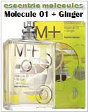 Escentric Molecules Molecule 01 + Ginger